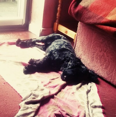 Unhinged - Life Can Wait