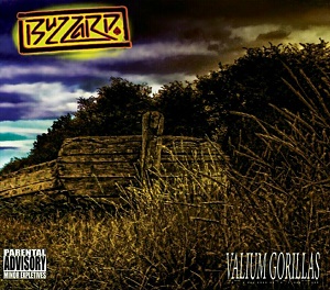 Buzzard Album Art